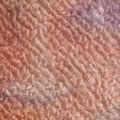 Tapetes de boucle impresos